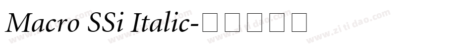 Macro SSi Italic字体转换